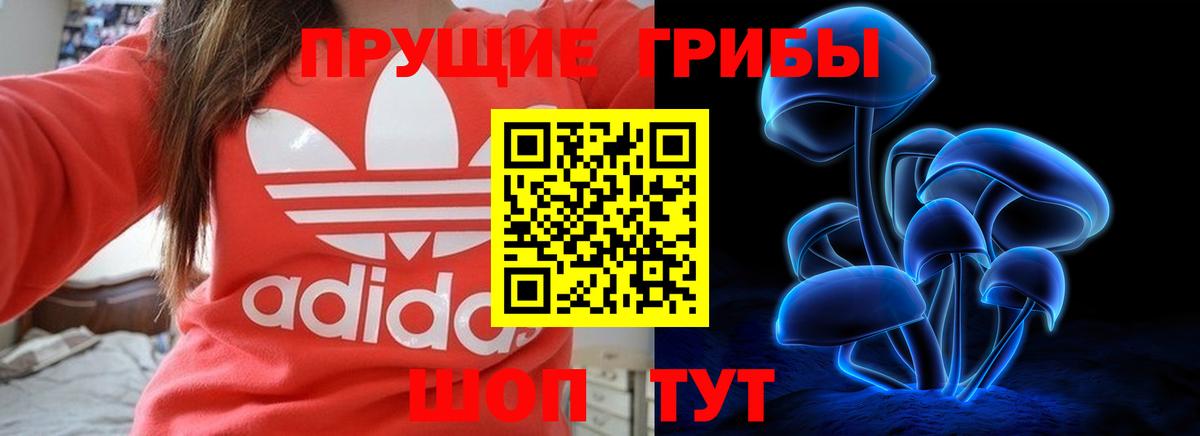Галлюциногенные грибы мухоморы Санкт-Петербург